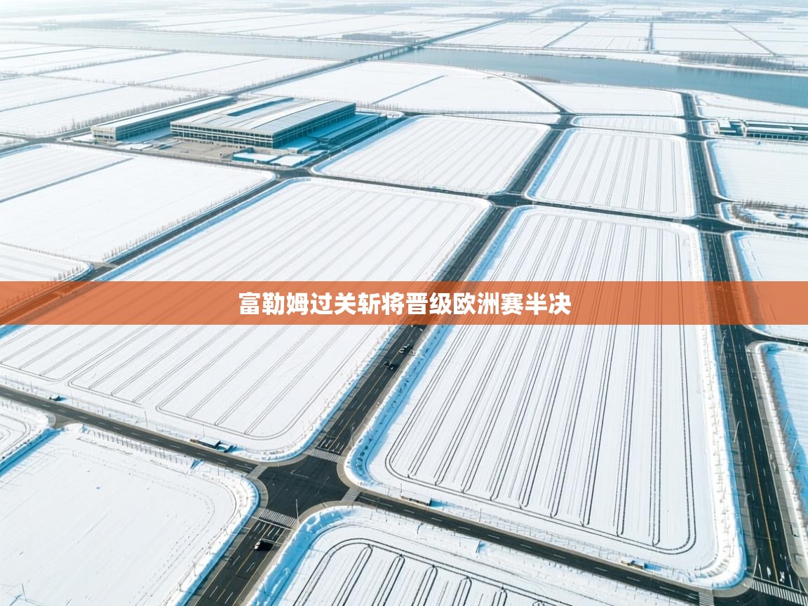 富勒姆过关斩将晋级欧洲赛半决