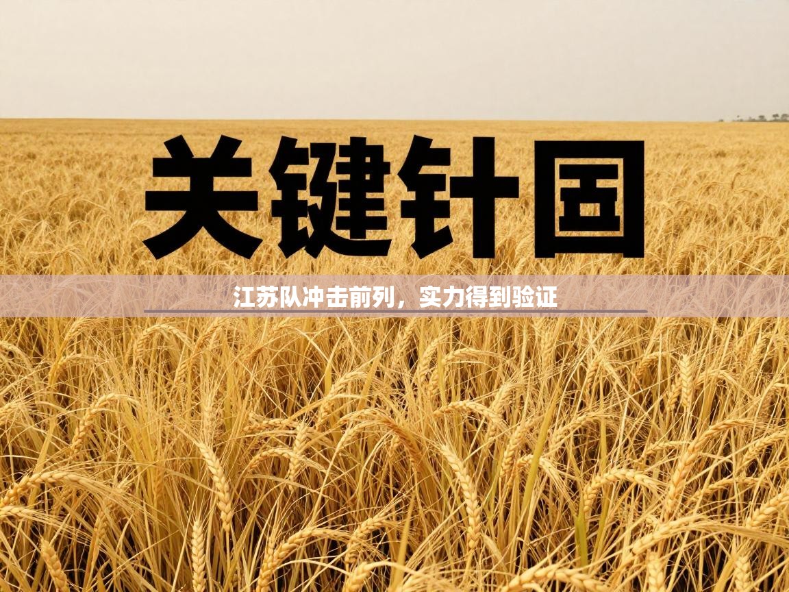 江苏队冲击前列，实力得到验证