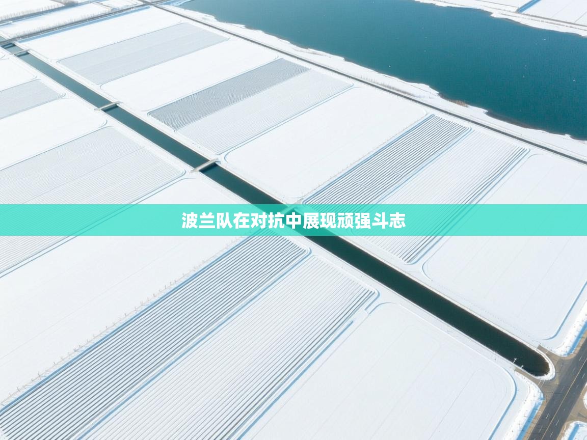 波兰队在对抗中展现顽强斗志